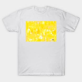 Sun after the Rain T-Shirt